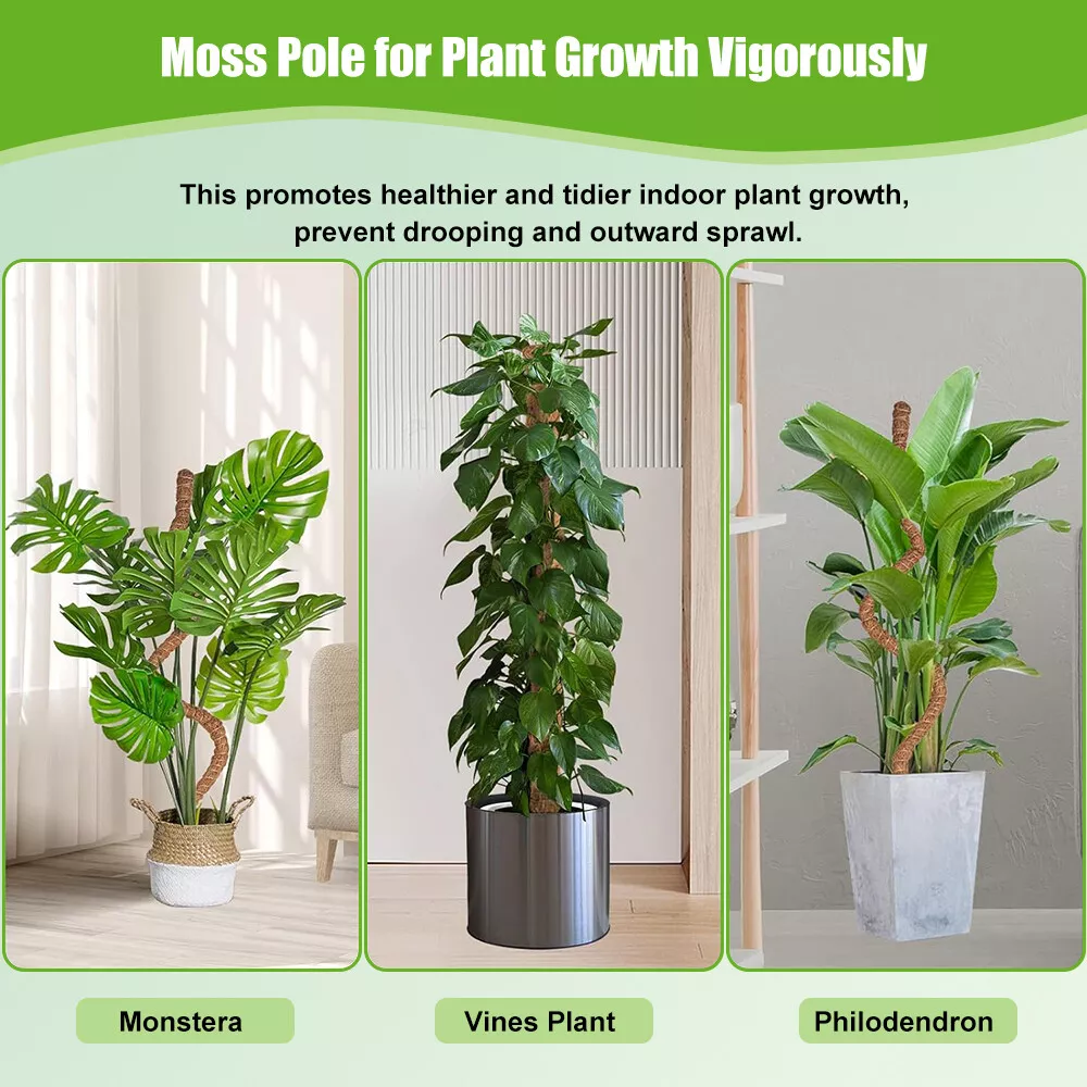 28” Bendable Moss Poles (Set of 4) for Monstera, Coir Support Stakes for Climbing Plants Indoor